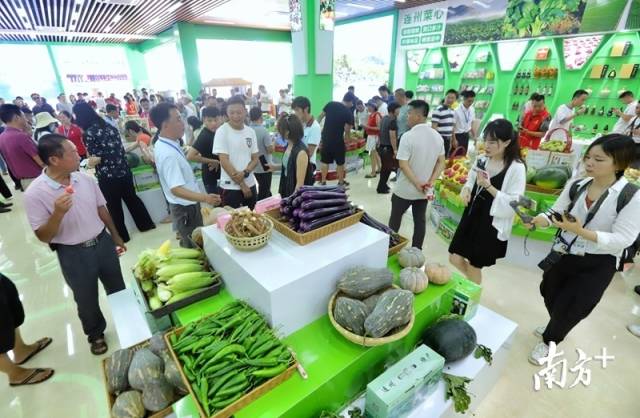 連州土壤硒含量豐富，富硒農(nóng)特產(chǎn)品吸引了眾人關(guān)注的目光。梁素雅 攝