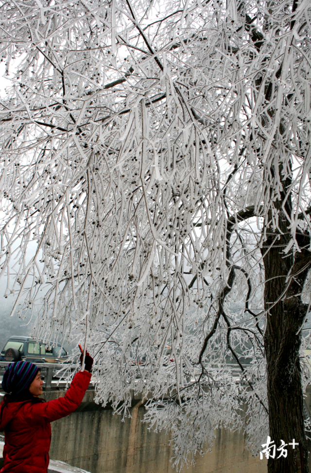 今冬的首場(chǎng)寒潮將于12月29日下午襲擊連州，最冷零下5度，提醒群眾做好御寒準(zhǔn)備。黃津 攝