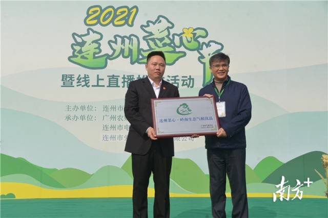 連州菜心獲評“嶺南生態(tài)氣候優(yōu)品”，廣東省氣象局一級巡視員、省氣象學(xué)會理事長梁建茵為連州菜心授牌。張曉欣 攝