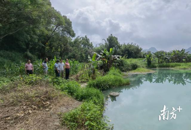實(shí)地調(diào)研。