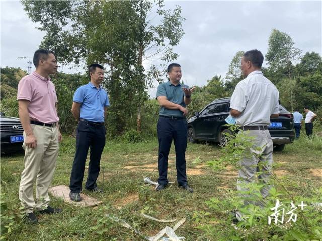 調(diào)研了解鄉(xiāng)村振興項目發(fā)展情況。