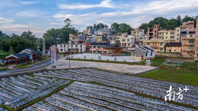 四聯(lián)鄉(xiāng)村振興綜合示范片。