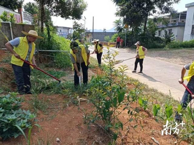開展護(hù)綠行動。