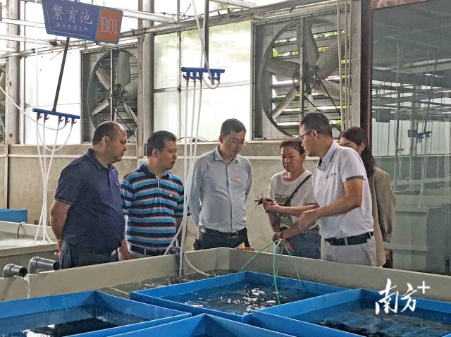 在畔水漁晟園了解特色產(chǎn)業(yè)發(fā)展情況。
