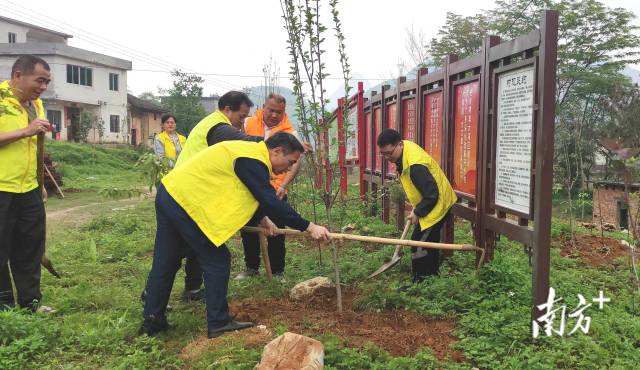 眾人齊心合力種樹(shù)。