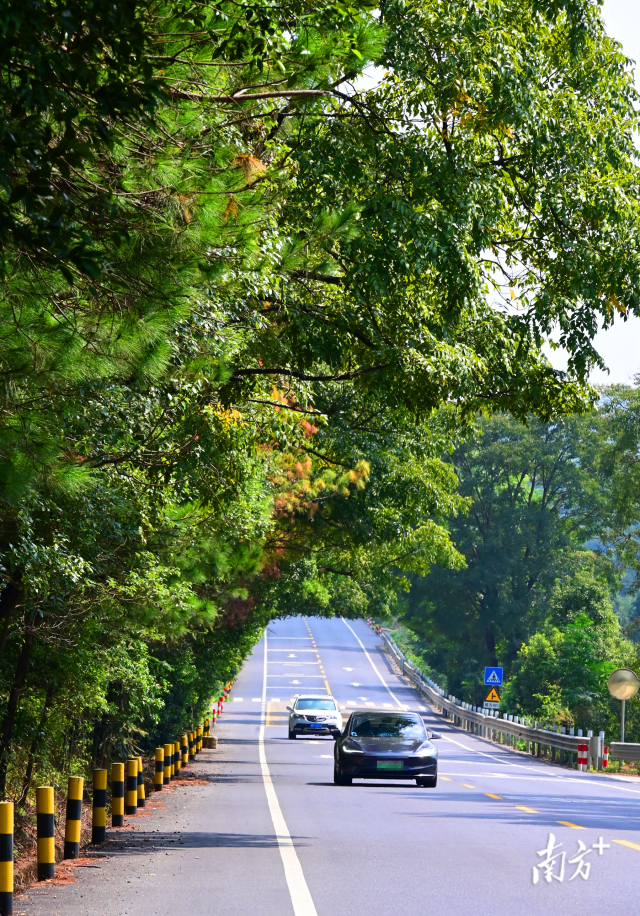 連州“四好農(nóng)村路”省級示范縣創(chuàng)建考核總分排全省第二。黃津 攝