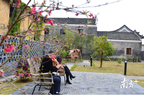 鄉(xiāng)村民宿。黃津 攝