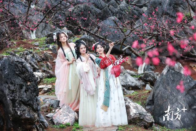國風少女打卡連州桃花季。