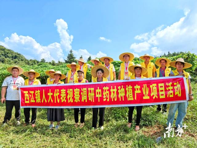代表們實地調(diào)研，為產(chǎn)業(yè)振興培育新動能。 西江鎮(zhèn) 供圖