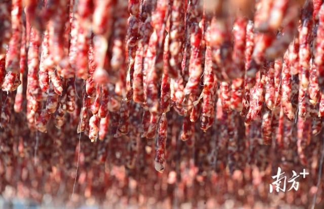 國家地理標(biāo)志保護(hù)產(chǎn)品東陂臘味。黃津 攝