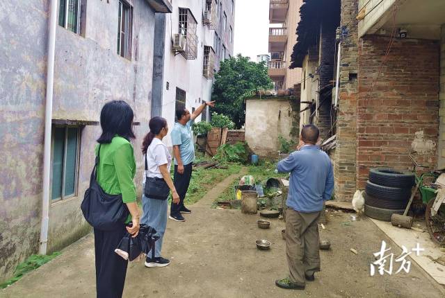 人大代表入戶走訪聽民聲。