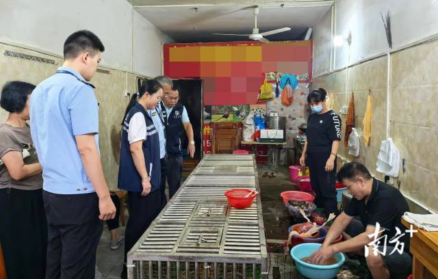 開展聯(lián)合檢查，為鳥類等野生動物撐起堅實的“保護傘”。