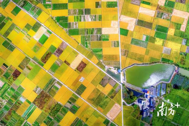 保安鎮(zhèn)立足資源優(yōu)勢(shì)擦亮“富硒小鎮(zhèn)”名片。黃月明 攝