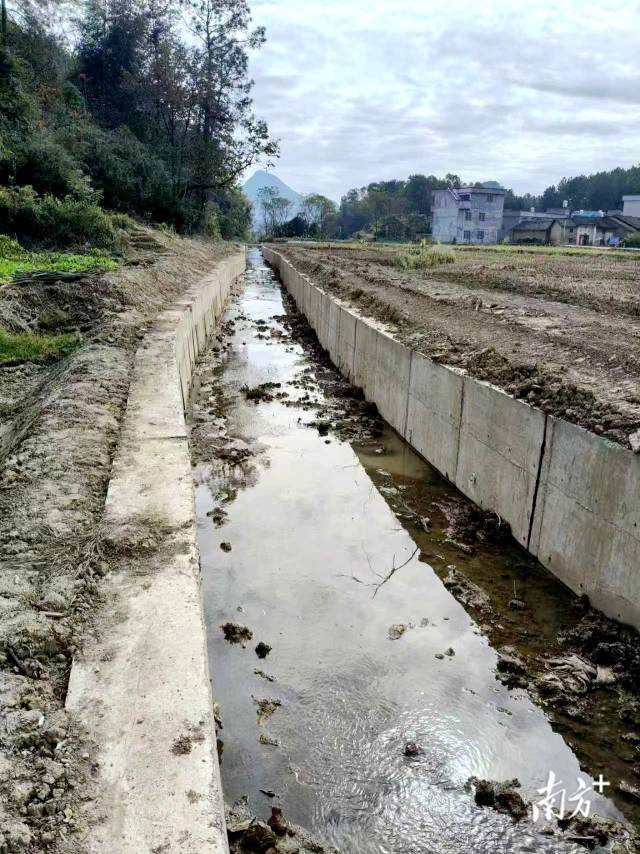 清淤前的渠道。楊鈞著 攝