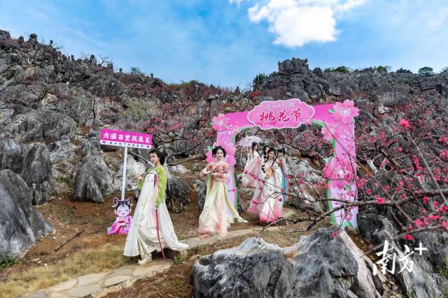 石林桃園依托獨特地貌打造，還布置了桃花主題打卡點。愛地旅游 供圖